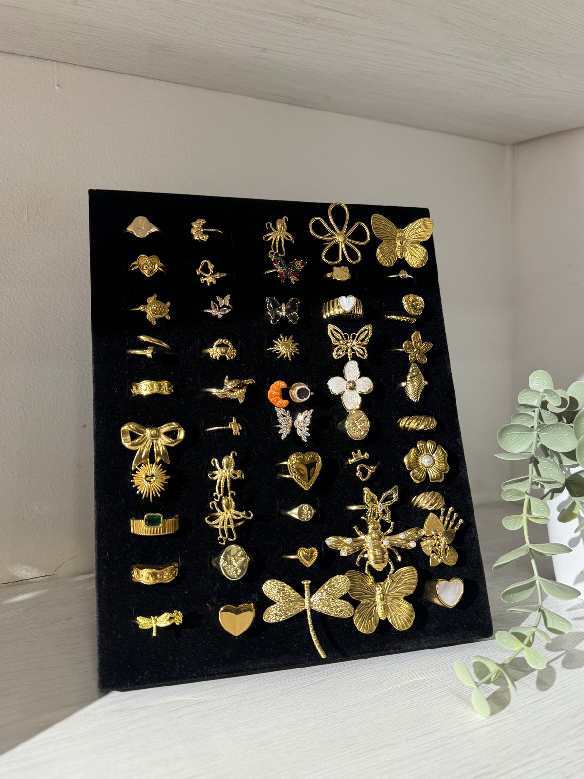 Anillos