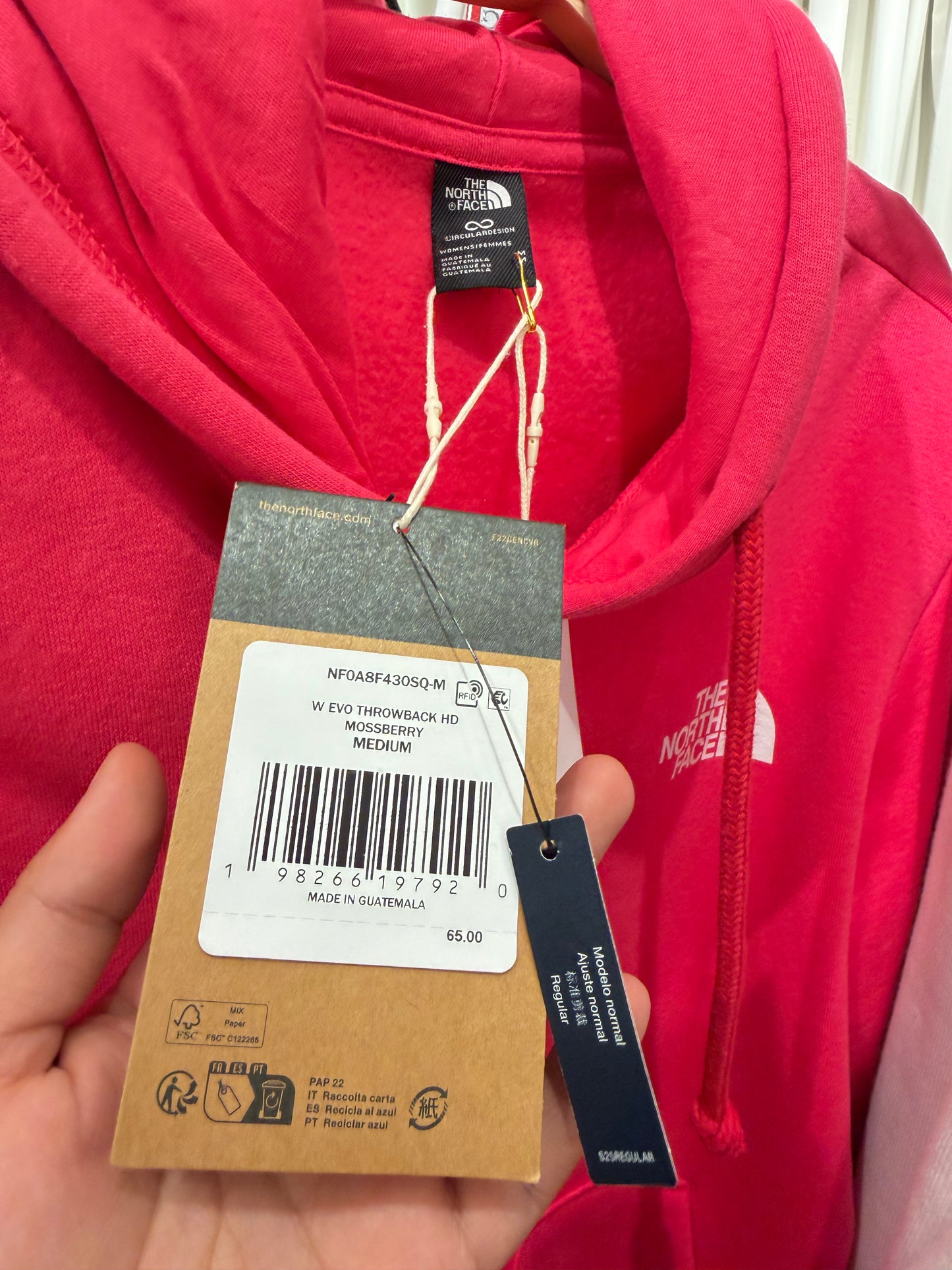 Hoddie The North Face